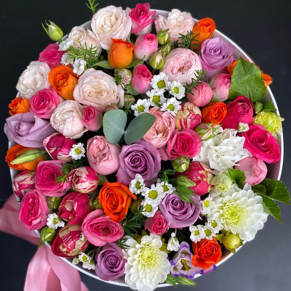 Приятный сюрприз